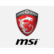 MSI